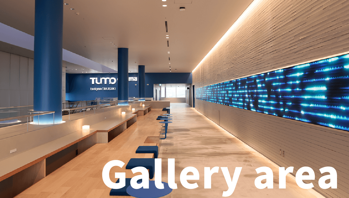 Gallery area